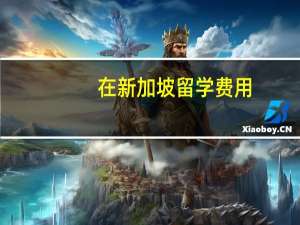 在新加坡留学费用