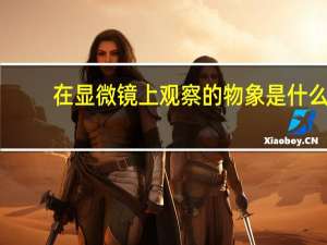 在显微镜上观察的物象是什么