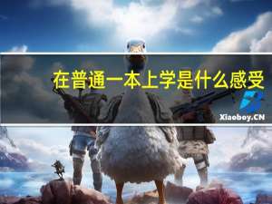 在普通一本上学是什么感受