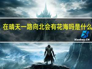 在晴天一路向北会有花海吗是什么意思