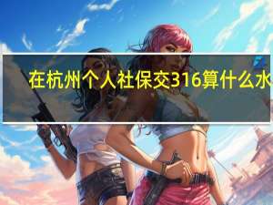 在杭州个人社保交316算什么水平