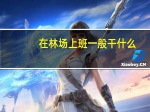 在林场上班一般干什么