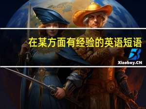 在某方面有经验的英语短语