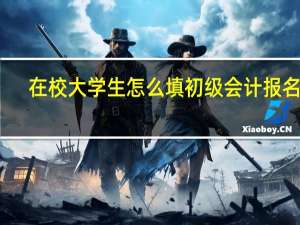 在校大学生怎么填初级会计报名表