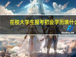 在校大学生报考初会学历填什么