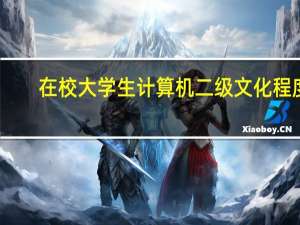 在校大学生计算机二级文化程度