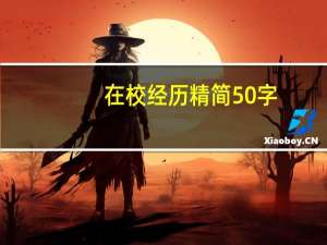 在校经历精简50字