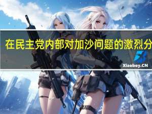 在民主党内部对加沙问题的激烈分歧中，哈里斯力挺拜登的中立政策