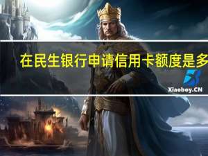 在民生银行申请信用卡额度是多少（在民生银行申请信用卡额度是多少钱）