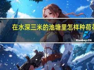 在水深三米的池塘里怎样种荷花