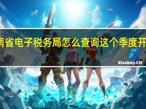在河南省电子税务局怎么查询这个季度开了多少发票