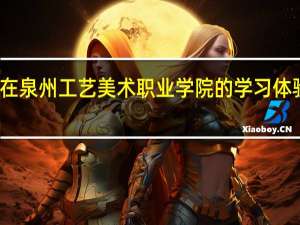在泉州工艺美术职业学院的学习体验如何