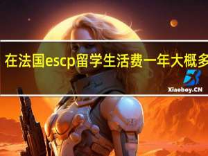在法国escp留学生活费一年大概多少钱