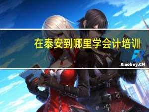 在泰安到哪里学会计培训