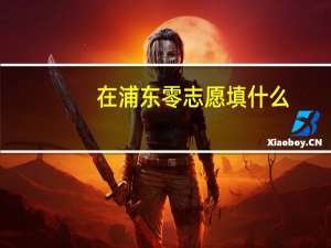 在浦东零志愿填什么