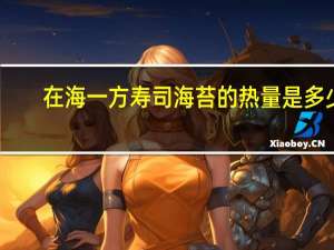 在海一方 寿司海苔的热量是多少