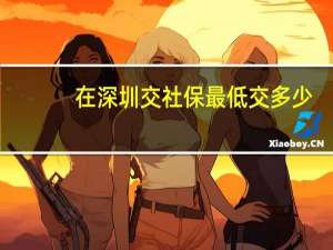 在深圳交社保最低交多少