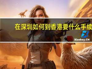 在深圳如何到香港要什么手续