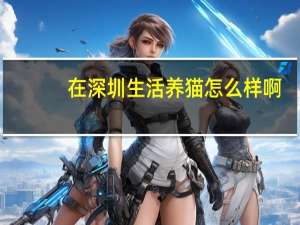 在深圳生活养猫怎么样啊