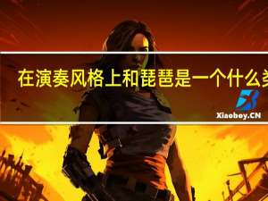 在演奏风格上和琵琶是一个什么类别？