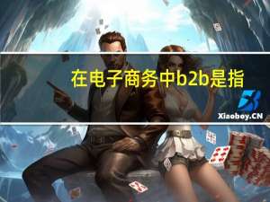 在电子商务中b2b是指