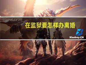 在监狱要怎样办离婚