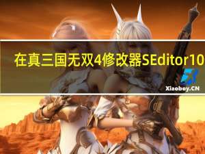 在真三国无双4修改器SEditor100里,怎么修改LINKDATA数据 真三国无双五修改器