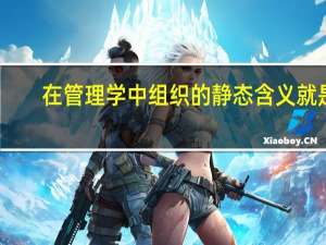 在管理学中组织的静态含义就是