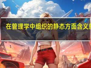 在管理学中组织的静态方面含义就是