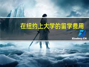 在纽约上大学的留学费用