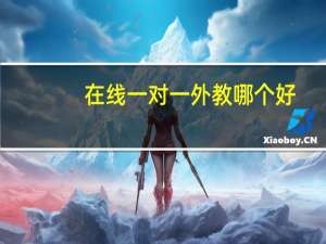 在线一对一外教哪个好