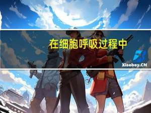 在细胞呼吸过程中，若有CO2放出，则可以判断此过程