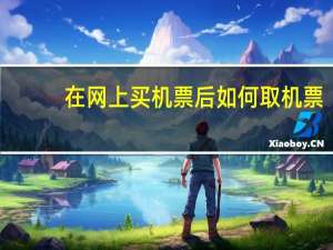 在网上买机票后如何取机票