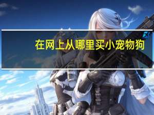 在网上从哪里买小宠物狗