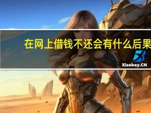 在网上借钱不还会有什么后果