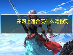 在网上适合买什么宠物狗