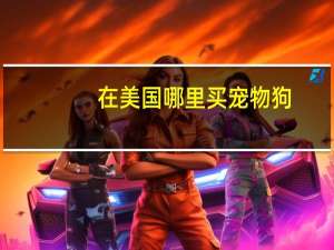 在美国哪里买宠物狗