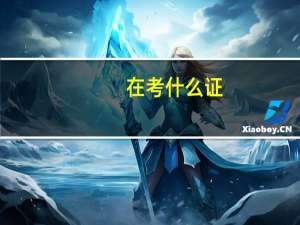 在考什么证