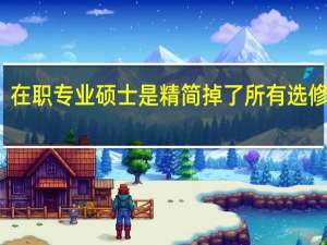 在职专业硕士是精简掉了所有选修课吗