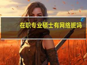 在职专业硕士有网络班吗