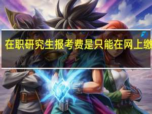 在职研究生报考费是只能在网上缴纳吗