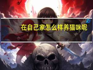 在自己家怎么样养猫咪呢