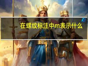 在螺纹标注中m表示什么