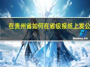 在贵州省如何在省级报纸上发公告