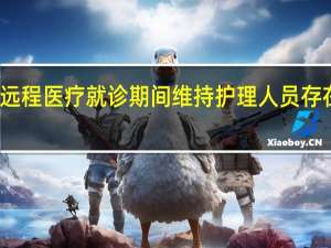 在远程医疗就诊期间维持护理人员存在的策略