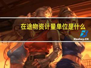 在途物资计量单位是什么