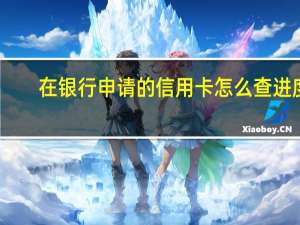 在银行申请的信用卡怎么查进度（在网上申请的信用卡怎么查询进度）