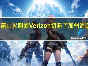在门多西诺山火期间Verizon切断了加州消防局的无限数据