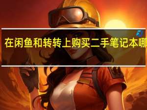 在闲鱼和转转上购买二手笔记本哪个好