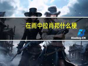 在雨中拉肖邦什么梗